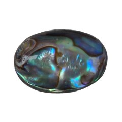 تصویر نگین پوسته صدف آبالون کد2 