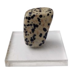 سنگ جاسپر دالماتیان دکوری کد3