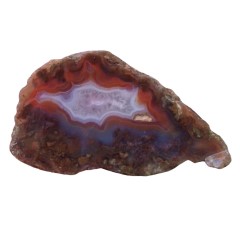 عقیق زیبای سلیمانی شجر دار