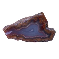 عقیق زیبای سلیمانی با حاشیه شجر