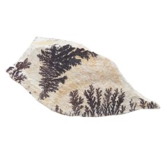 شجر فسیلی (پیرولوزیت) زیبا کد 3