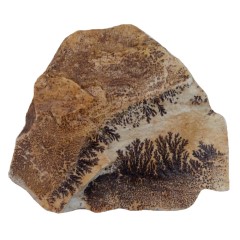 شجر فسیلی (پیرولوزیت) زیبا کد 4