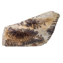 شجر فسیلی (پیرولوزیت) زیبا کد 5