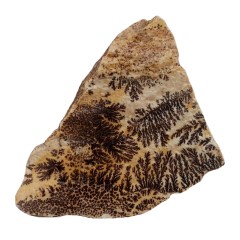 شجر فسیلی (پیرولوزیت) زیبا کد 6