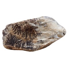 شجر فسیلی (پیرولوزیت) زیبا کد 7