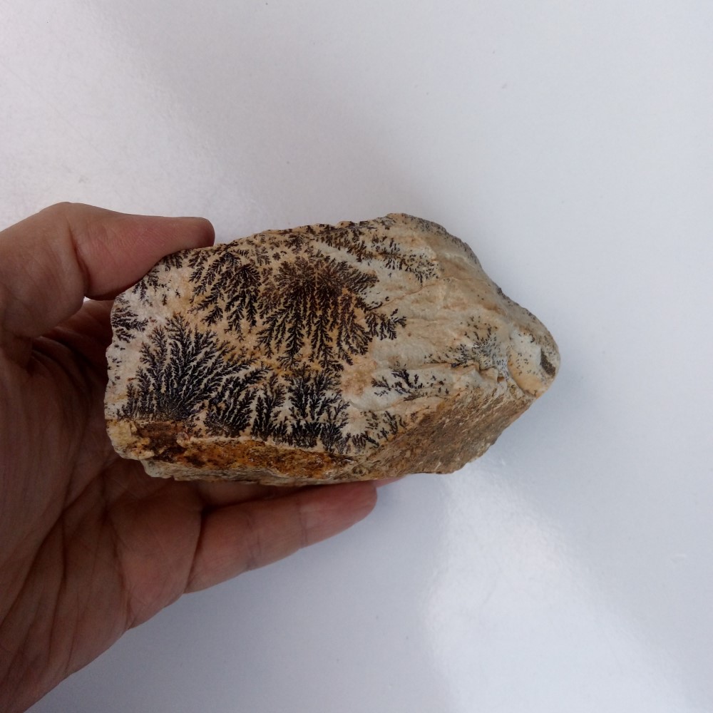 شجر فسیلی (پیرولوزیت) زیبا کد 7