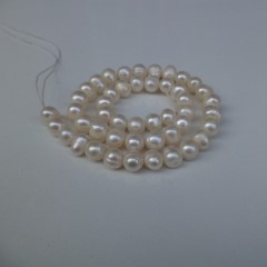 ریسه مروارید اصل پرورشی سایز 8